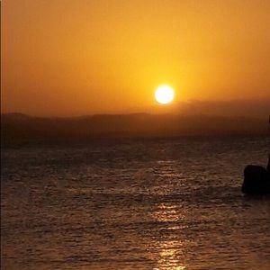 Meet your Posher, Reva